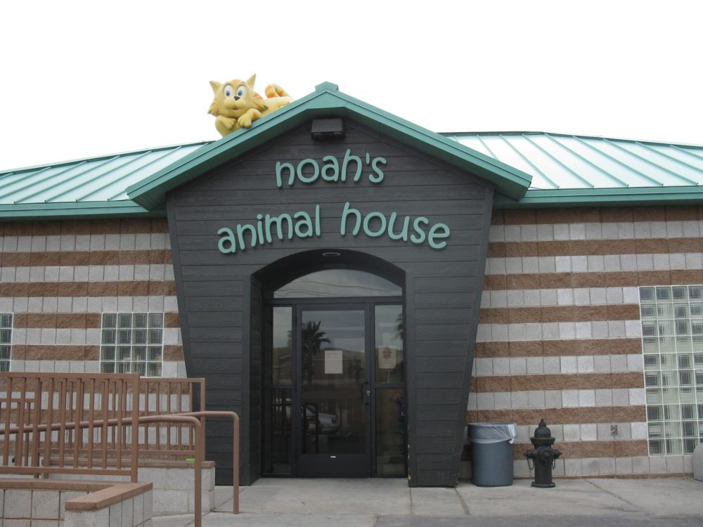 Noah's Animal House